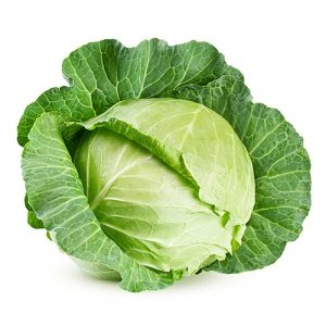 Kapusta biela skorá 24