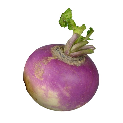 Kvaka turnip ,I.Tr 1