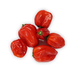 Paprika - chilli papričky Habanero červené, I. trieda 5