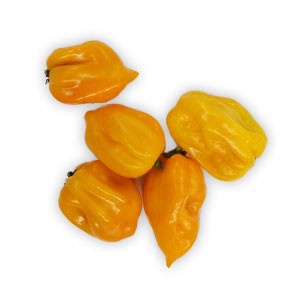 Paprika - chili papričky Habanero žlté ,I.Tr 6