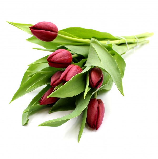 Kytica čerstvých kvetov, Tulipány 7 ks 1