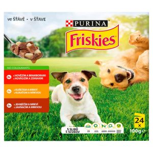 Friskies dog, 5 sľubov mäsový mix v šťave 24x100g 2