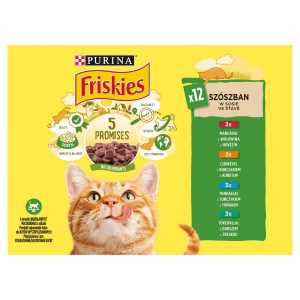 Friskies cat, 5 sľubov mäsový mix s rybami 12x85g 16
