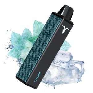 Ignite jednorazova e-cigareta V600 Icy Mint 2% 5