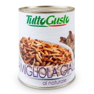 Hríby Famigliola Gialla 820g TuttoGusto 3