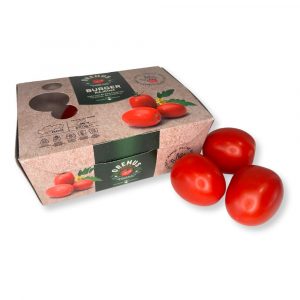 Paradajka Burger 600g ,I.Tr 24